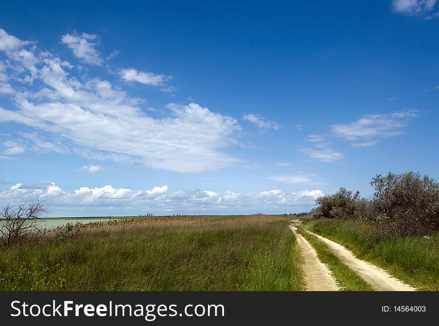 Rural road among the green field. Rural road among the green field