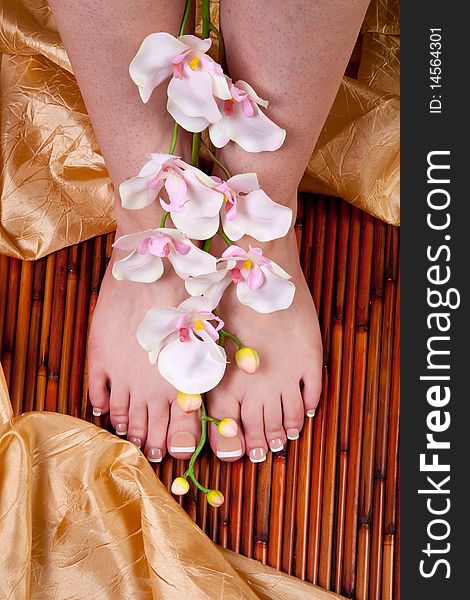 White orchid with pedicured feet. White orchid with pedicured feet