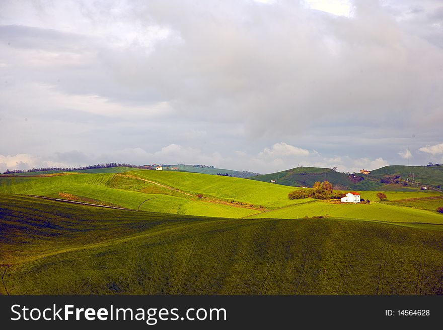 Landascape and grass with a mountain in background