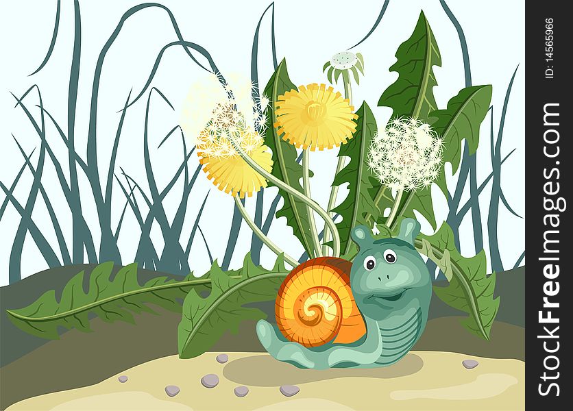 Snail and dandelions. Vector illustration