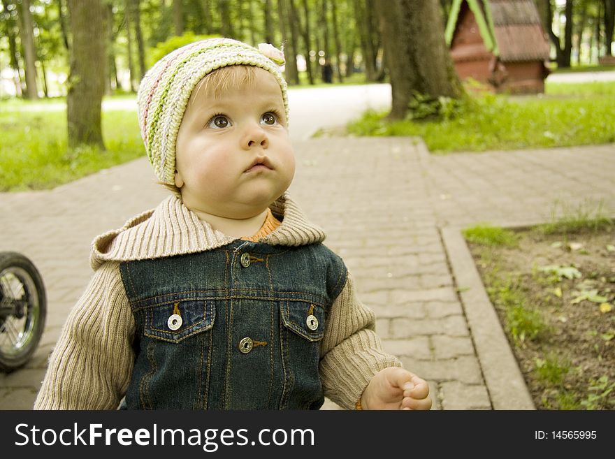 The child dressed in a cap and a jacket looks upwards at a tree. The child dressed in a cap and a jacket looks upwards at a tree