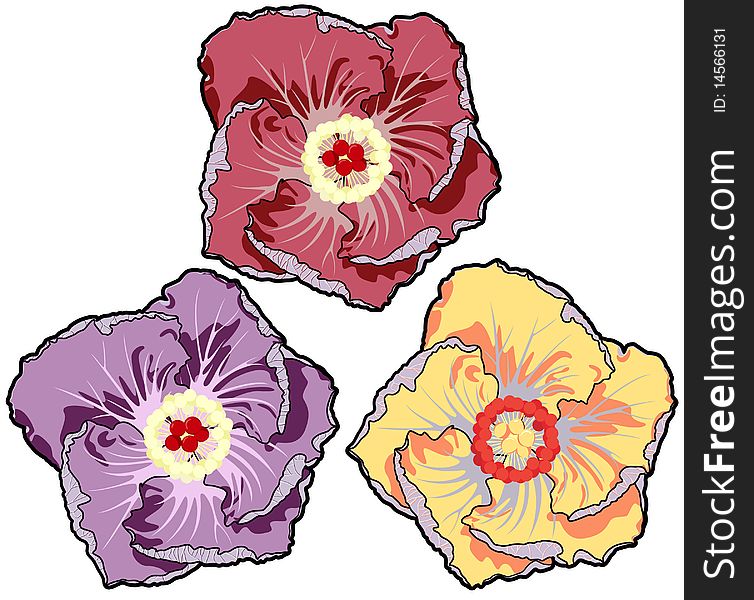 Set of the flowers. Vector illustration