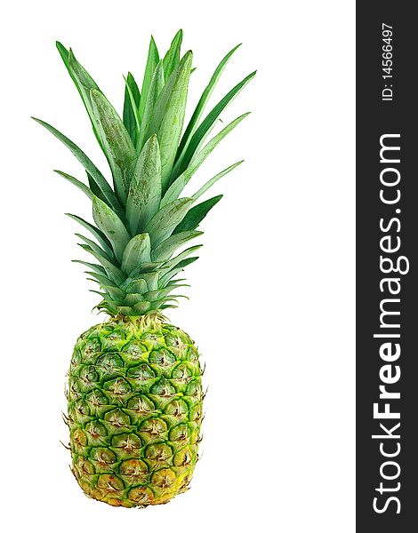 Fresh Pineapple