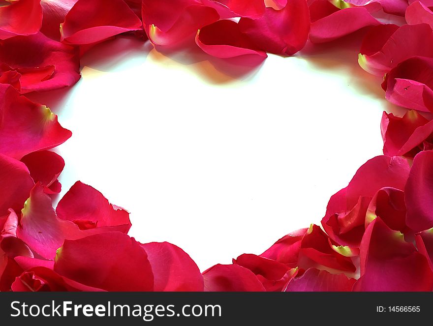 White heart formed by rose petals - blank for your copy. White heart formed by rose petals - blank for your copy.