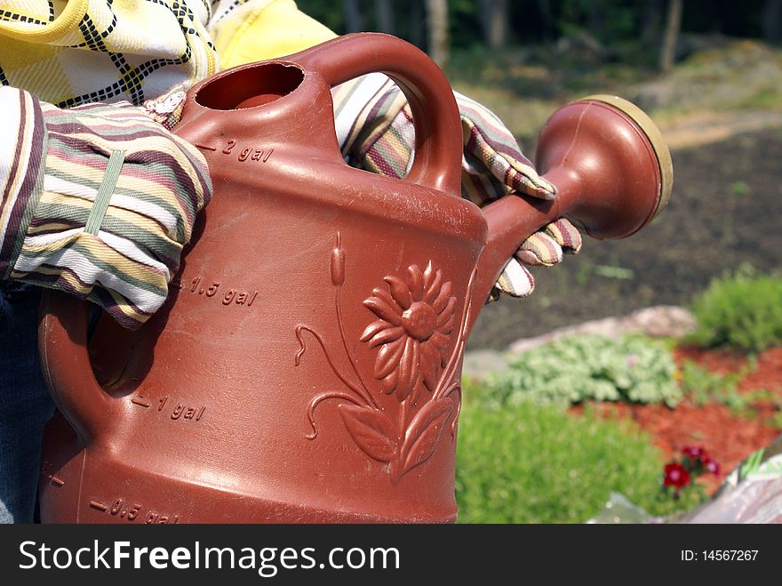 A gardener carries a water jug to the flowers for watering. A gardener carries a water jug to the flowers for watering.