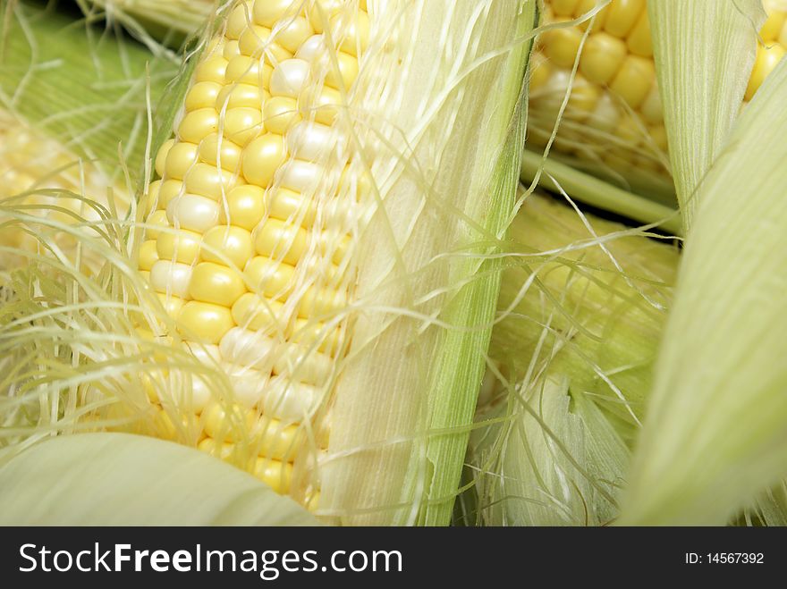 A macro of a few cobs of corn. A macro of a few cobs of corn.