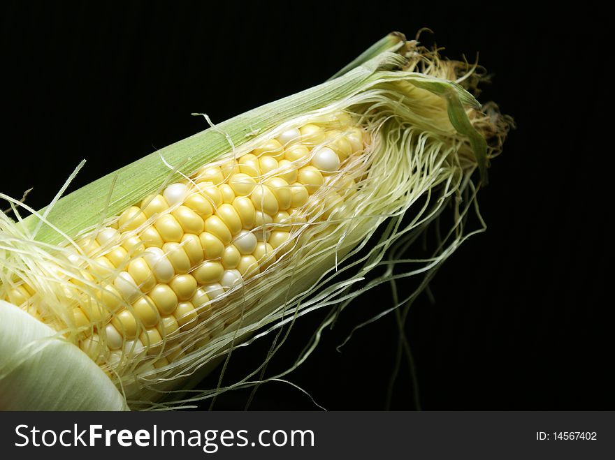 A macro of a single cob of corn. A macro of a single cob of corn.