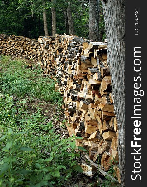 A large stockpile of firewood for heating in the winter months.