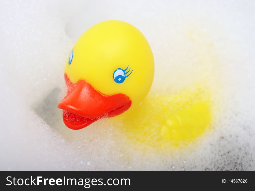 A closeup shot of a rubber duck in the bubble bath. A closeup shot of a rubber duck in the bubble bath.