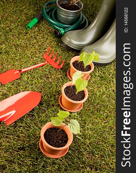 Gardening concept shot on grass. Gardening concept shot on grass