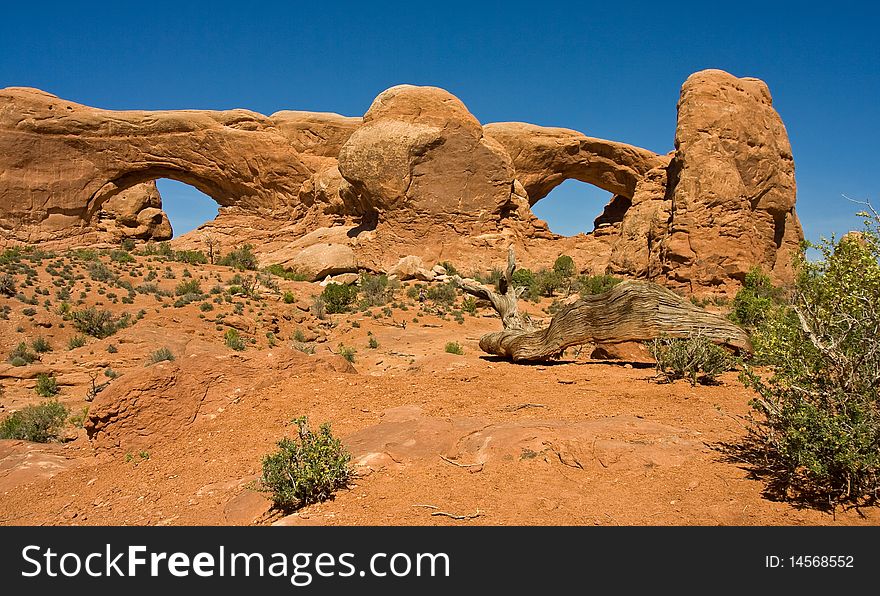 The Window arches in Arches National Park. The Window arches in Arches National Park
