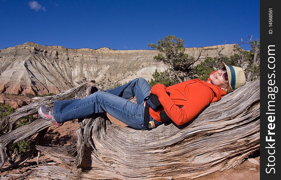 Young beautiful woman taking a rest on an old pine tree. Young beautiful woman taking a rest on an old pine tree