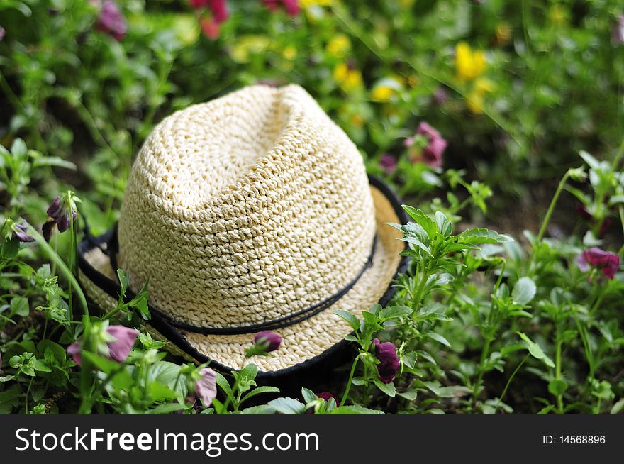 Hat In The Garden