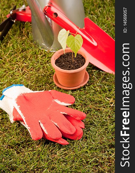 Gardening concept in grass, tools and other equipment