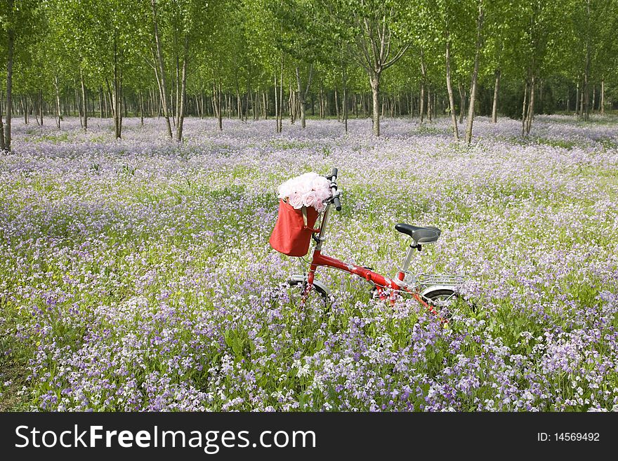 Bicycle In Wildflower Field