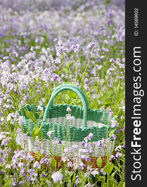Picnic basket in flower field