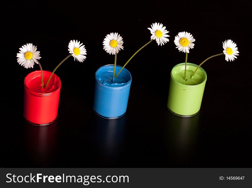 Paint bucket with flower inside, shot on dark background. Paint bucket with flower inside, shot on dark background