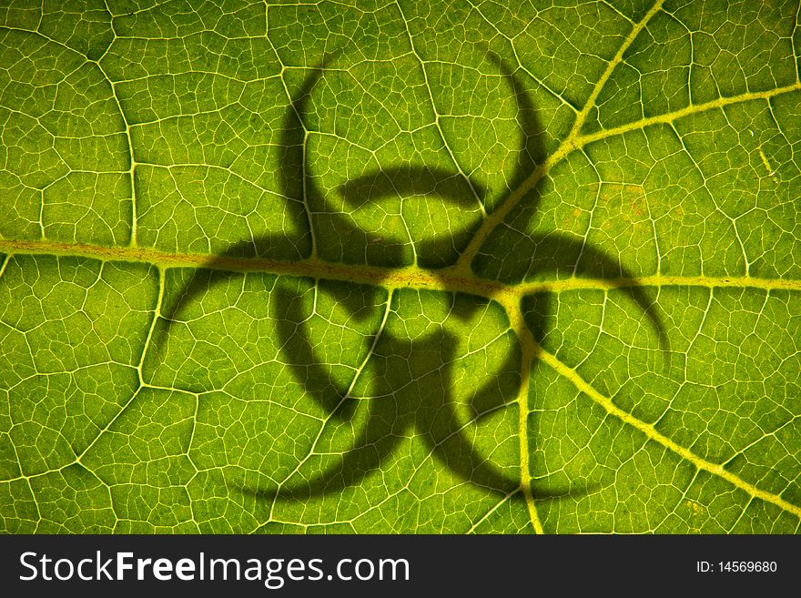 Green Leaf Structure with recycling shadow shot over light. Green Leaf Structure with recycling shadow shot over light