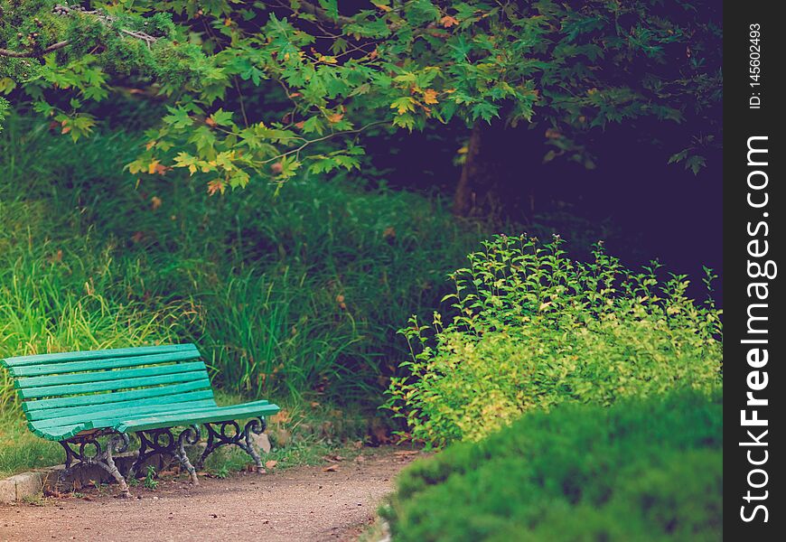 Old park bench blue among wondrous plants