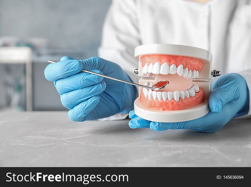 Dentist holding educational model of oral cavity at table in clinic, closeup