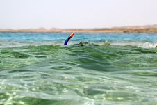 Snorkeling In Red Sea Royalty Free Stock Images Snorkeling In Red Sea Royalty Free Stock Images
