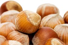 Heap Of Hazelnuts On White Background Royalty Free Stock Images Heap Of Hazelnuts On White Background Royalty Free Stock Images