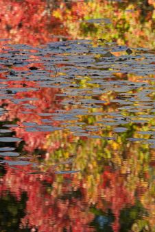 Autumn Reflections Royalty Free Stock Image