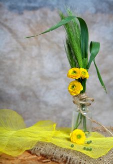 Still-life - Bouquet With Flowers In Phial Royalty Free Stock Image Still-life - Bouquet With Flowers In Phial Royalty Free Stock Image