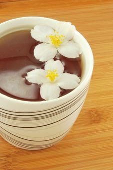 Jasmine Tea Royalty Free Stock Photography Jasmine Tea Royalty Free Stock Photography