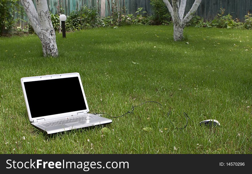 Laptop in nature, communication in park