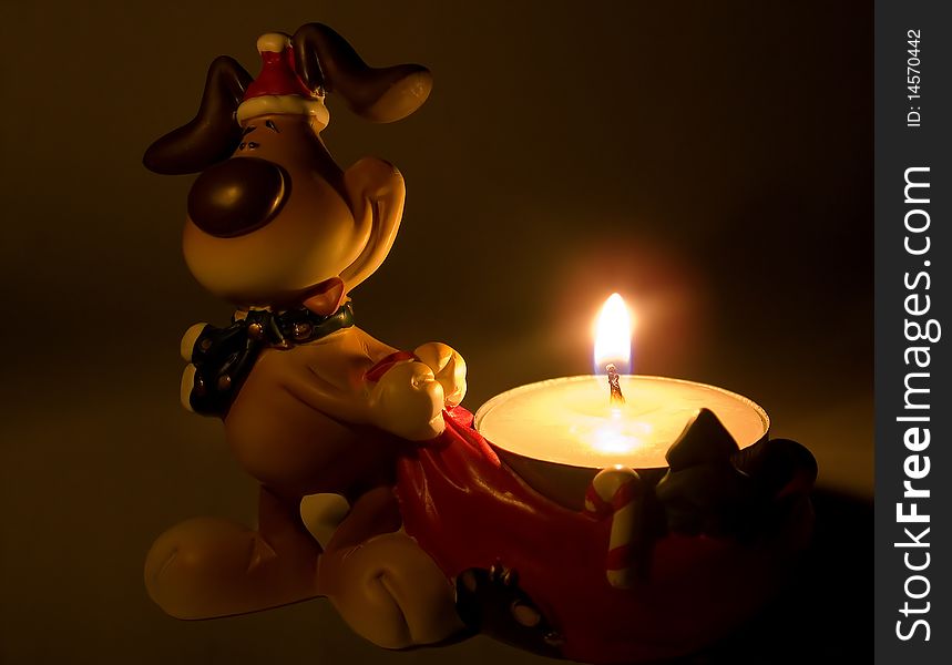 Christmas dog with a candle in the dark