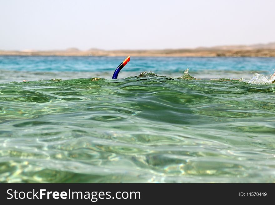 Snorkeling on vacation in  Egypt, Red Sea. Snorkeling on vacation in  Egypt, Red Sea