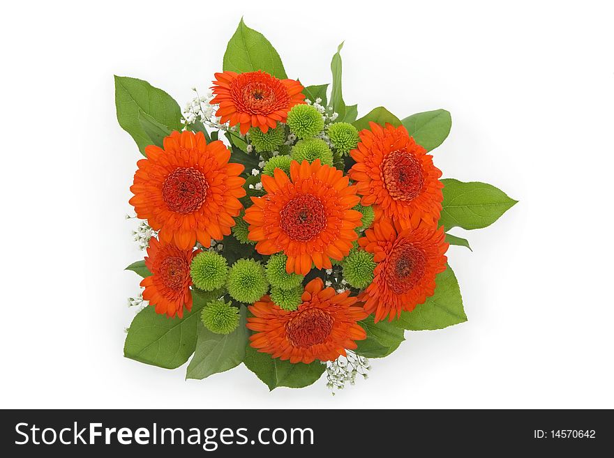 Bouquet from orange gerbera,on white background. Bouquet from orange gerbera,on white background.