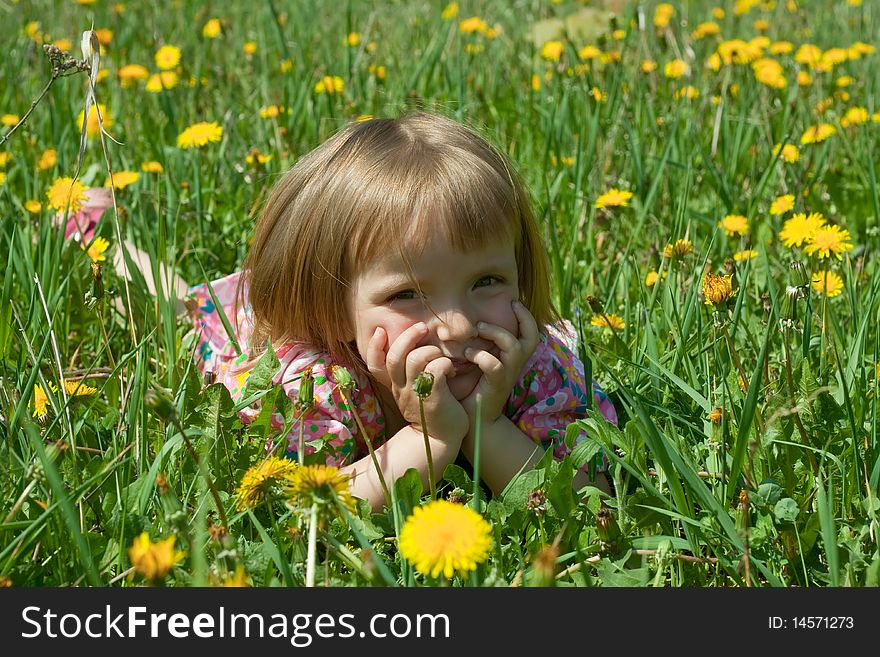 Little girl lie among yellow dandelions