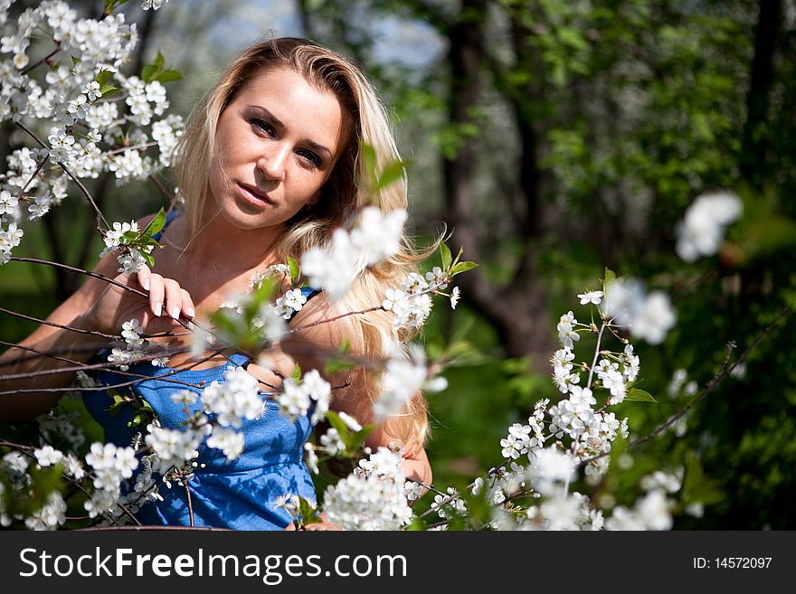 Young blonde model in cherry garden in spring