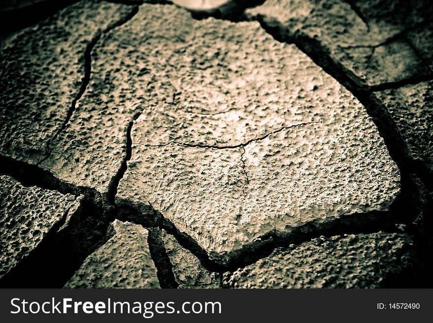 The Soil In The Fissures