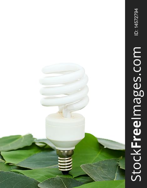 Energy saving light bulb on green leaves isolated over white