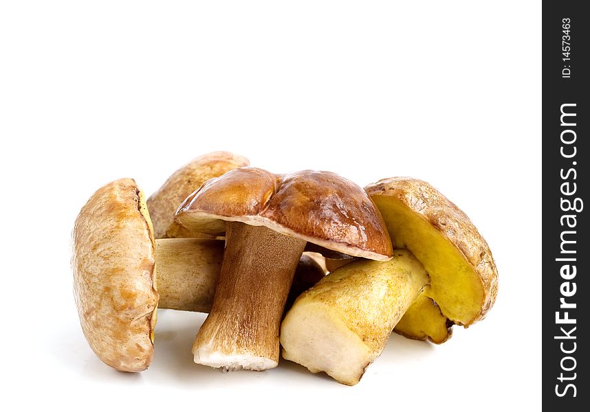 Mushrooms (pilze) on a white background. Mushrooms (pilze) on a white background