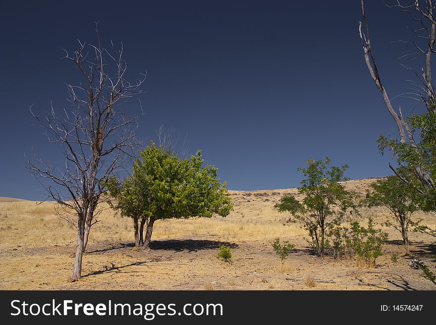 Lanscape in the countryside of Oregon. Lanscape in the countryside of Oregon