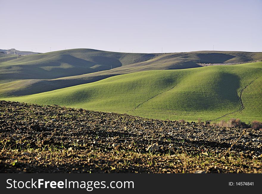 Landscape of tuscany, italy. Green meadows