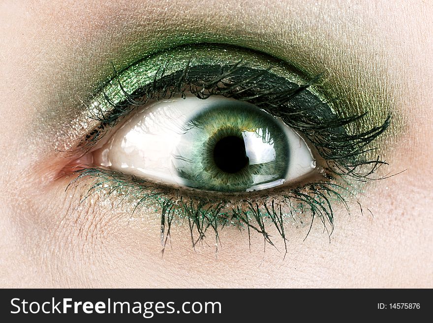 A macro close up of a womans green eye. A macro close up of a womans green eye.
