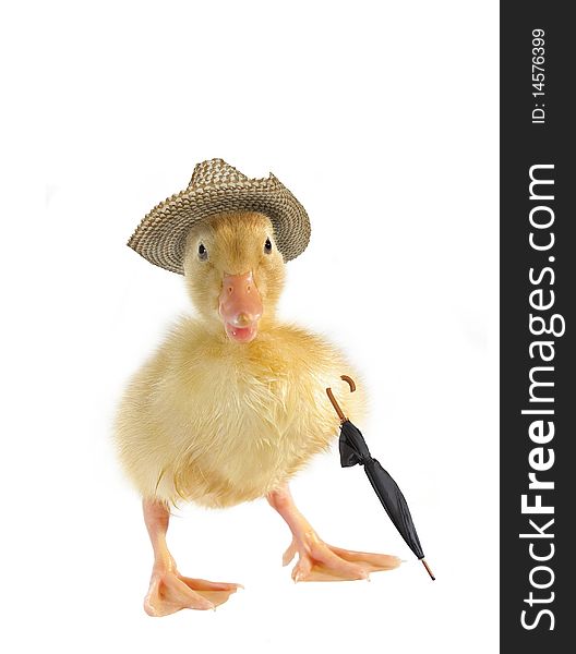 Small duck in straw hat on white background. Small duck in straw hat on white background