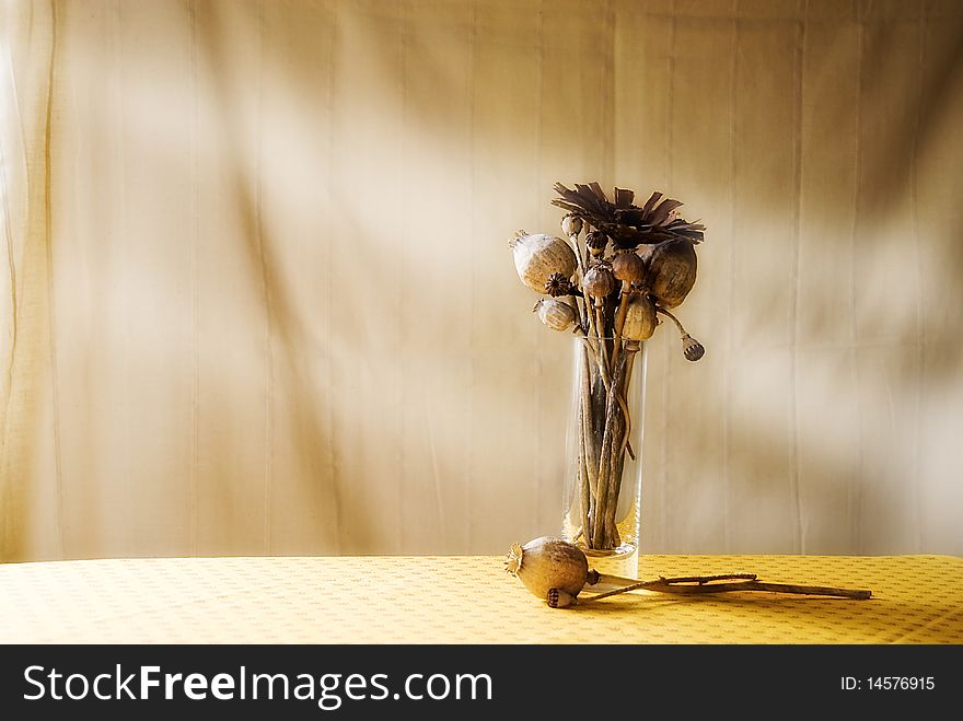 Autumnal interior decoration with dried flowers