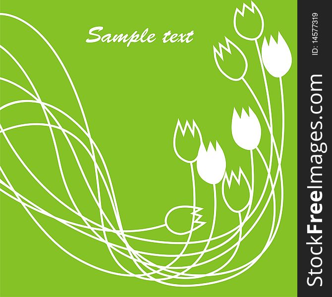 Postcard for holiday white flowers on a green background. Vector illustration. Postcard for holiday white flowers on a green background. Vector illustration.