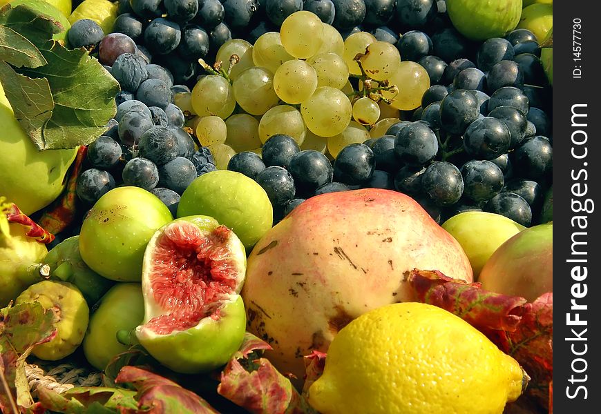 Fruit collection (grapes, figs, citrus)