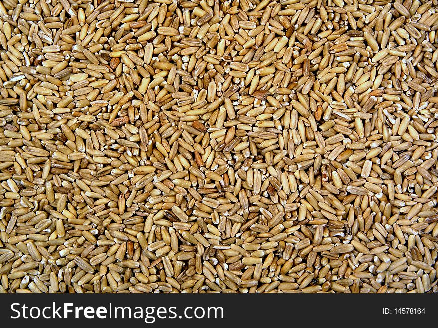 Yellow Oats Background and texture. Yellow Oats Background and texture