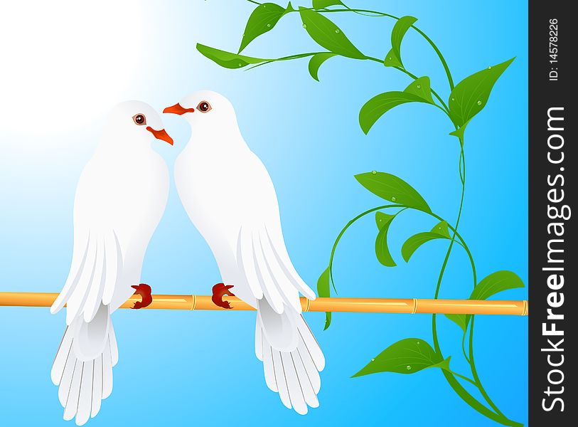 Two doves, vector illustration, AI file included