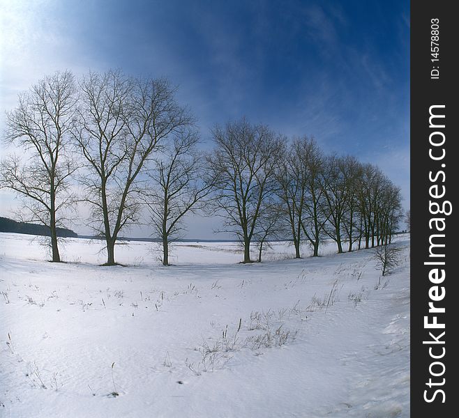 Winter landscape. Chernigiv region, Ukraine.