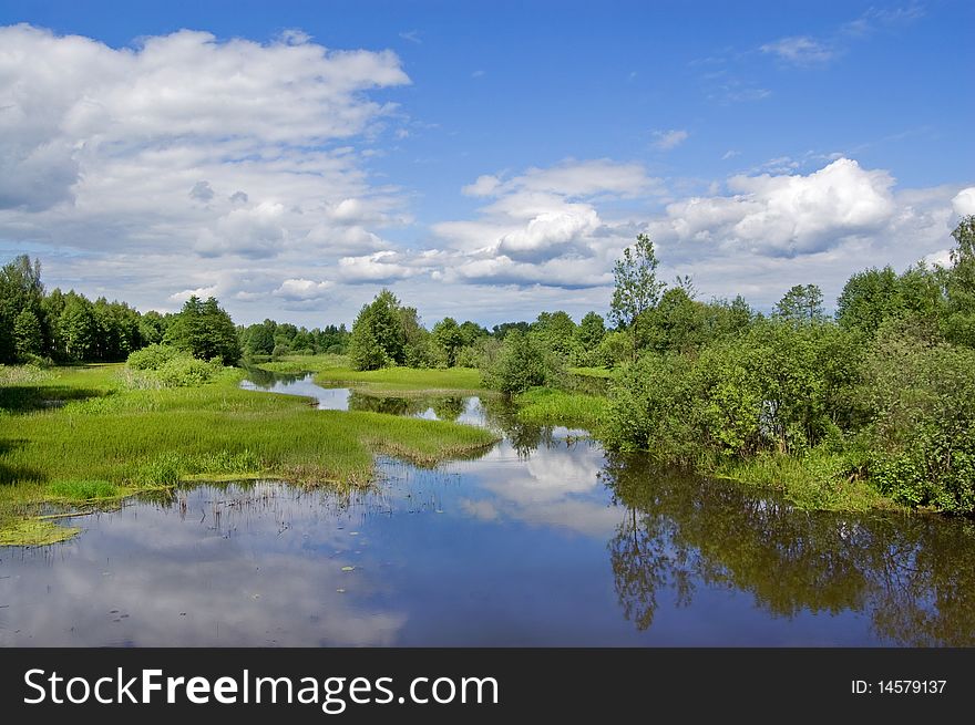 The small Russian river in an environment of a cane and trees. The small Russian river in an environment of a cane and trees