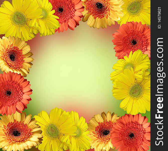 Yellow and orange blooms - frame for your text. Yellow and orange blooms - frame for your text